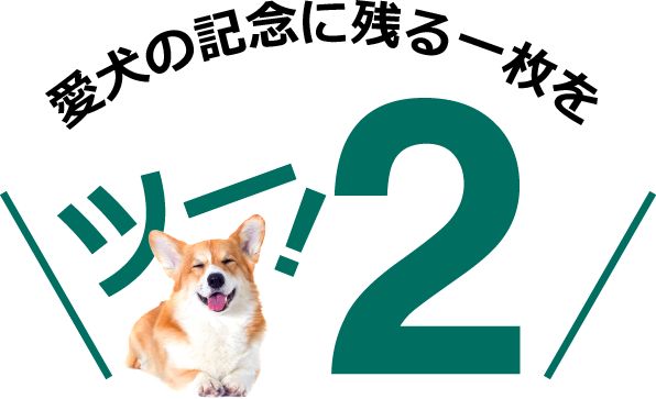 愛犬の記念に残る一枚を