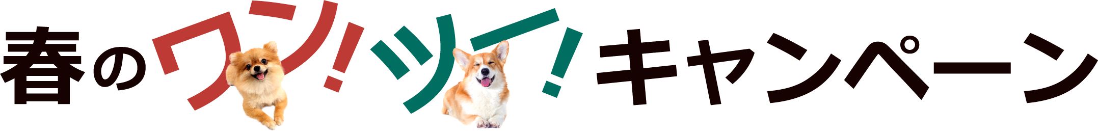 春のワン！ツー！キャンペーン