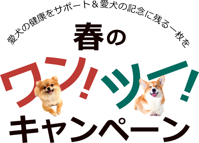 愛犬の健康をサポート＆愛犬の記念に残る一枚を春のワン！ツー！キャンペーン